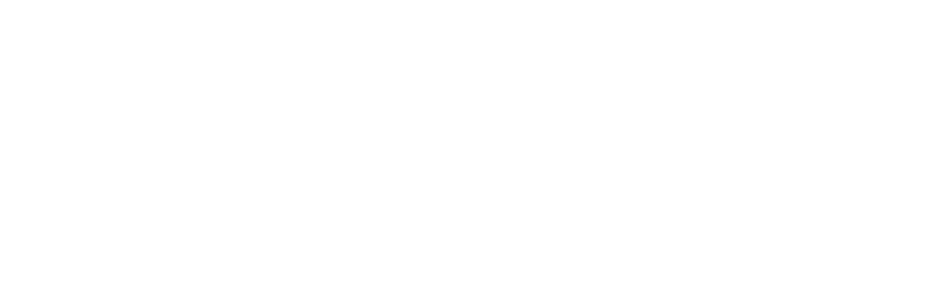 Stran_1.5_Icon_&_Wordmark_White_RGB-1