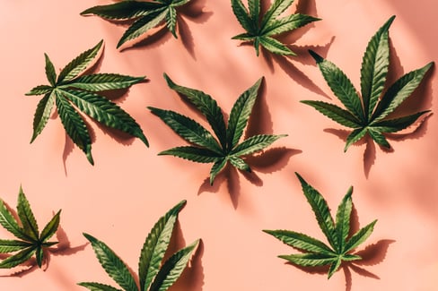 Smart Promo Marketing for Cannabis Companies in 2023