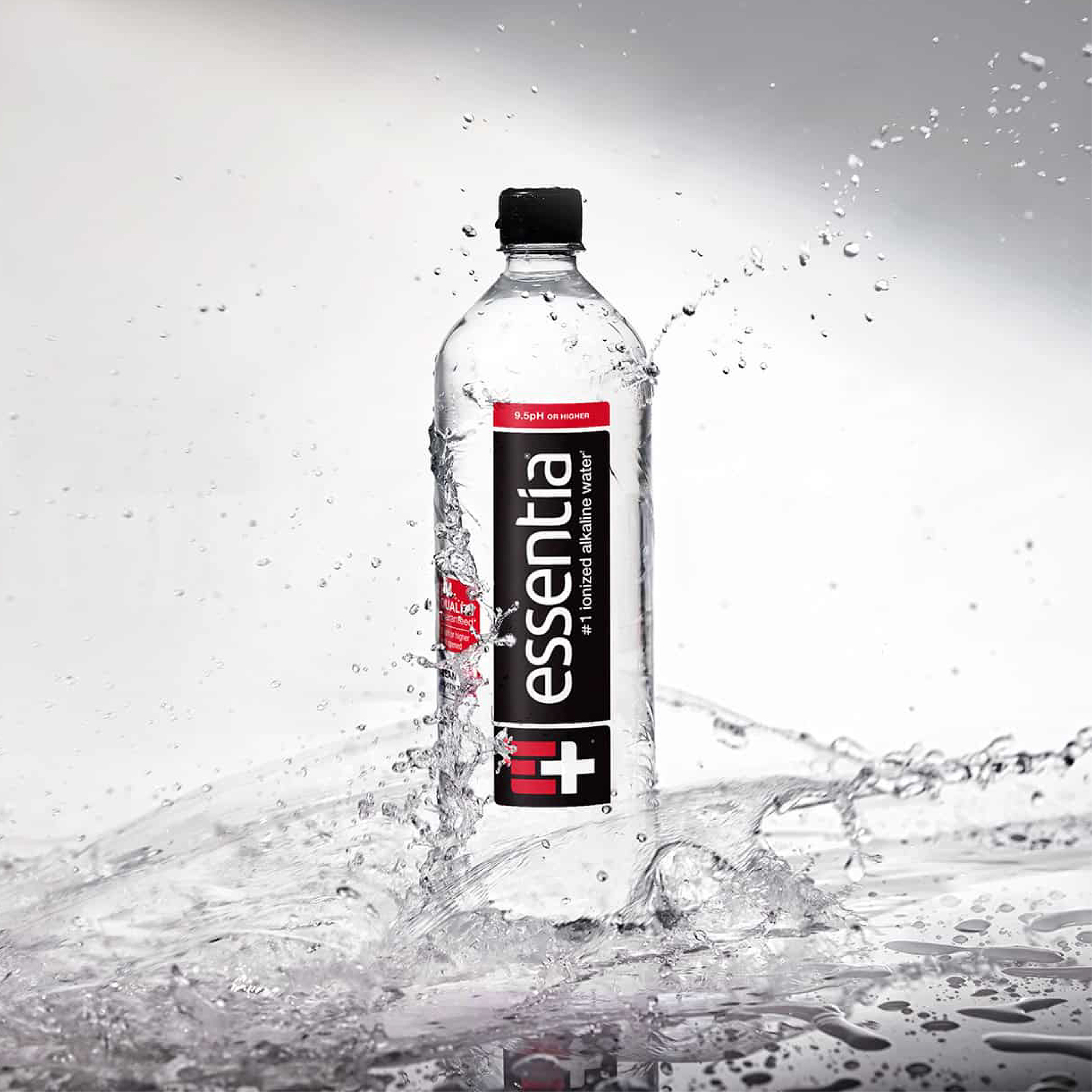 Essentia Case Study LP Assets_situation