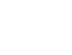 Wahl Burgers