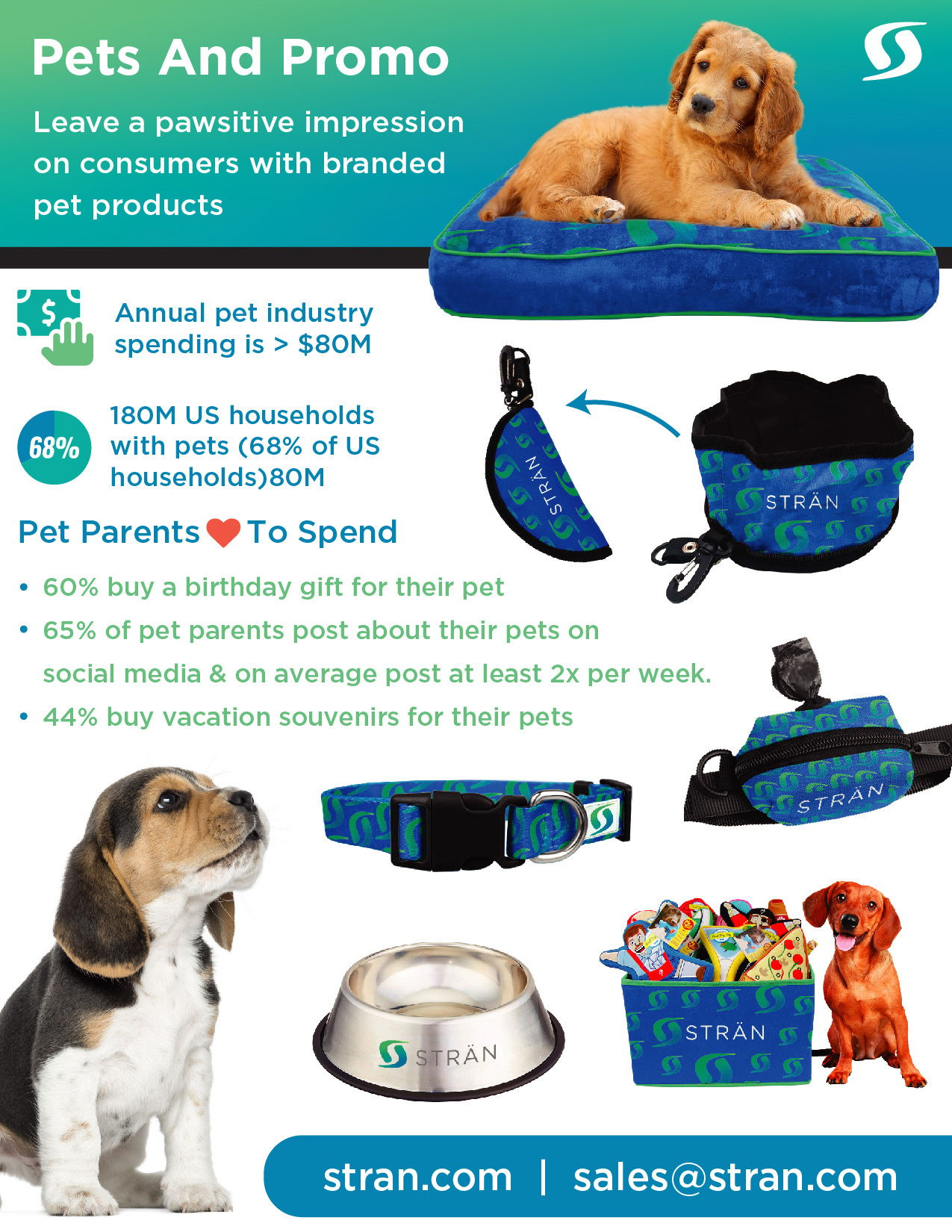 Stran Solutions - Pet, Dog